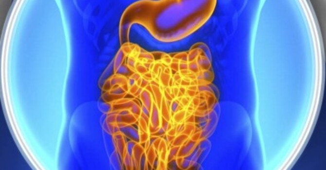 Specialty Lab Testing